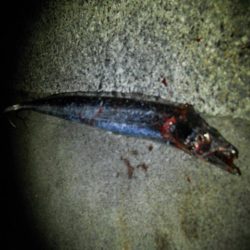 週末になれば台風