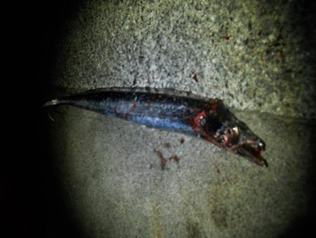 週末になれば台風