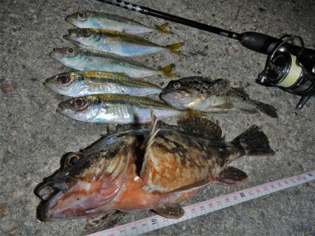 港でグググッと