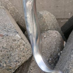 タチウオはたくさん