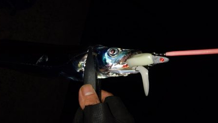 ショアジギング６