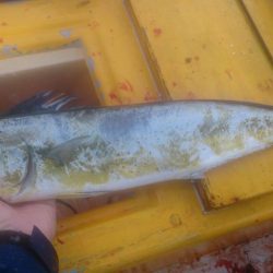 二馬力ボートでナブラ打ち