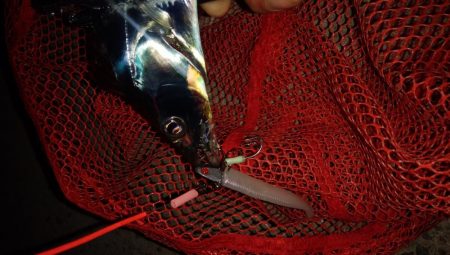 ショアジギング7