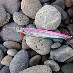 憧れの地煙樹ヶ浜