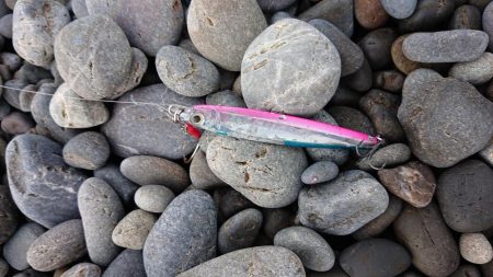 憧れの地煙樹ヶ浜