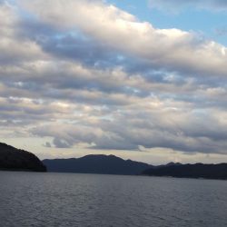 午後のエギング