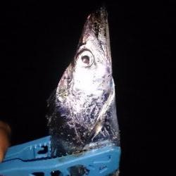 いつものところ