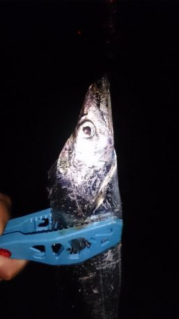 いつものところ