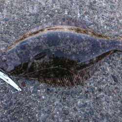 まさかの・・・