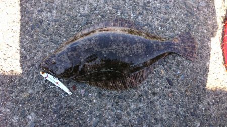 まさかの・・・