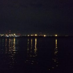 タチウオのちエイ