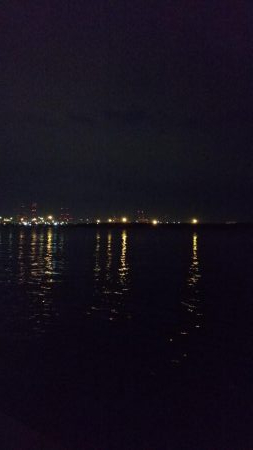 タチウオのちエイ