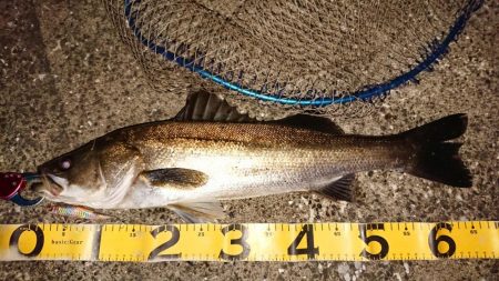 波止際サラシパターン