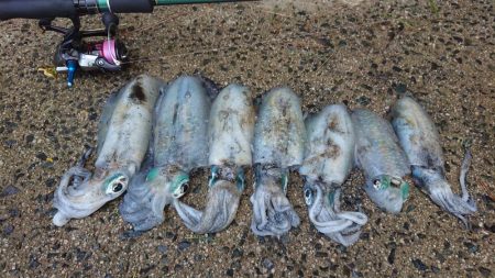 連休朝イチ狙い