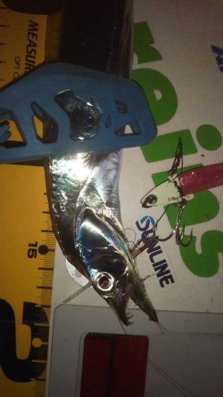 マズメワインド