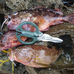 オフショアジギング