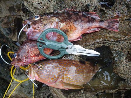 オフショアジギング