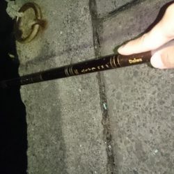 のべ竿いっぽん