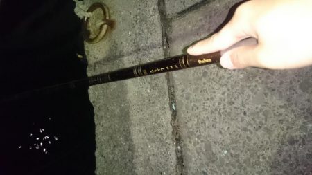 のべ竿いっぽん