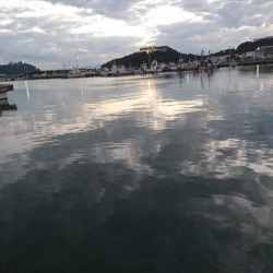 ボートフィッシング