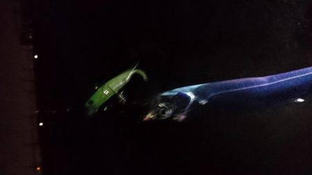 台風後の泉大津エリア遠征