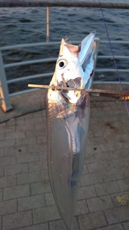 今ｼｰｽﾞﾝ初の夕まずめ釣行