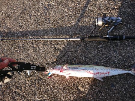 台風最接近の中