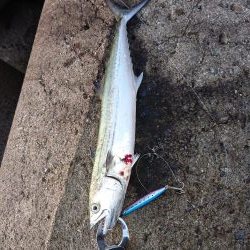 連発あるも渋い