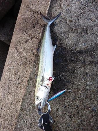 連発あるも渋い