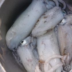 自己記録更新！