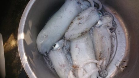 自己記録更新！