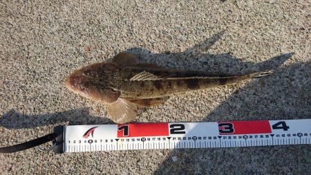 青物渋いー( ；∀；)