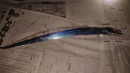 時合いは明け方に