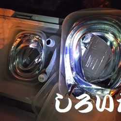 「しろいたち流」　タチウオ、入れ食い、爆釣！