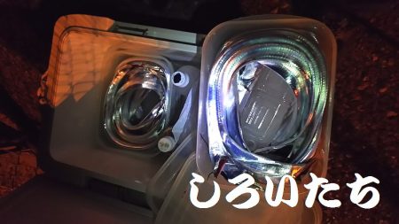 「しろいたち流」　タチウオ、入れ食い、爆釣…