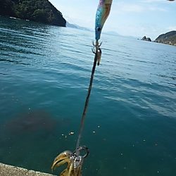 エソカッター？