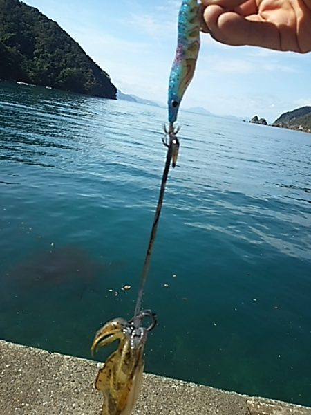 エソカッター？