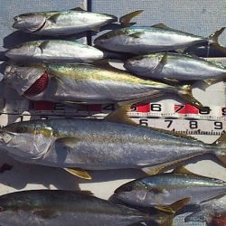 今シーズン初ジギング