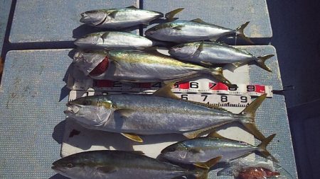 今シーズン初ジギング