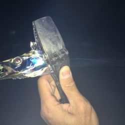 湾奥不調 からの貝塚好調(^O^)