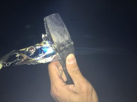 湾奥不調 からの貝塚好調(^O^)