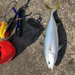 飲ませしか食わんかった
