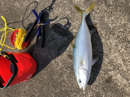 飲ませしか食わんかった