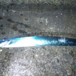 仕事終わりに太刀魚調査行って来ました。