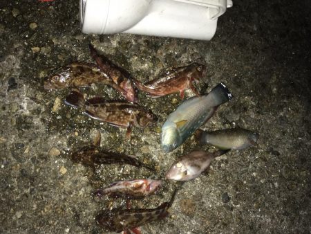 あたりが楽しかった