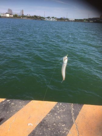 キャンプの釣り