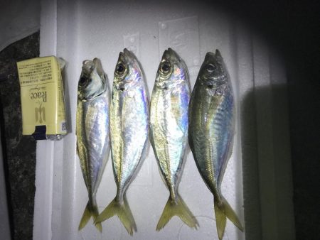 夜釣り、エサ釣り