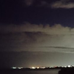 台風明けアオリイカ