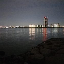 久しぶりのシーバスゲーム