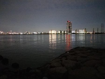 久しぶりのシーバスゲーム